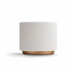 Fellow Monty Latte Art Cups 15 Fellow Monty Latte Art Cups