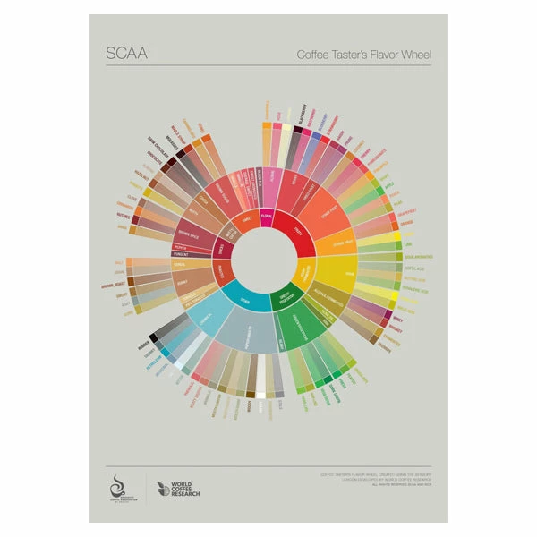 Alternative Brewing Coffee Taster's Flavour Wheel Chart - SCAA 1 Alternative Brewing Coffee Taster's Flavour Wheel Chart - SCAA